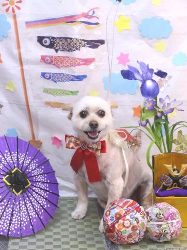 20240518ポンタくん